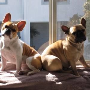 Meet your Posher, Julie